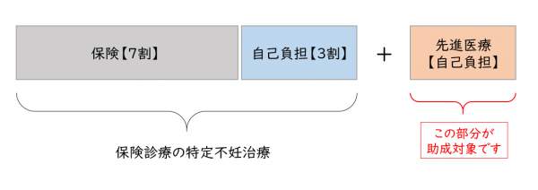 先進医療助成