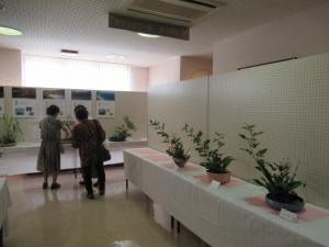 生け花作品の展示