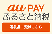 auPAYふるさと納税のサイト